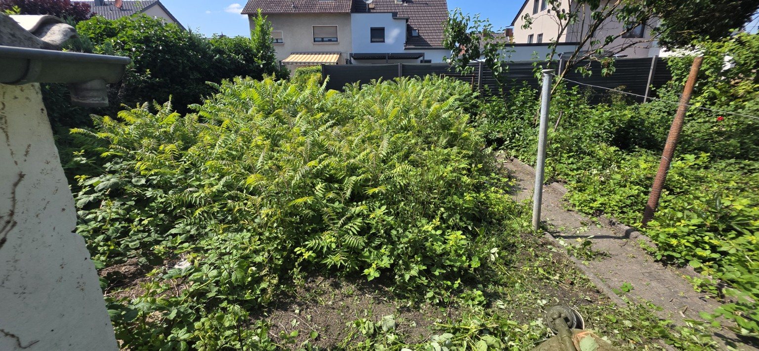 Gartenpflege und Außenanlage