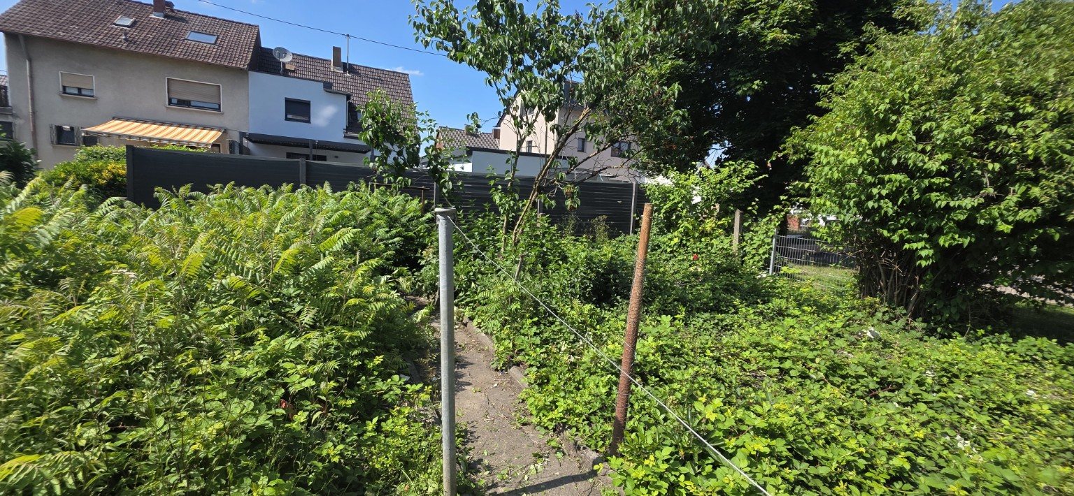 Gepflegte Gartenfläche